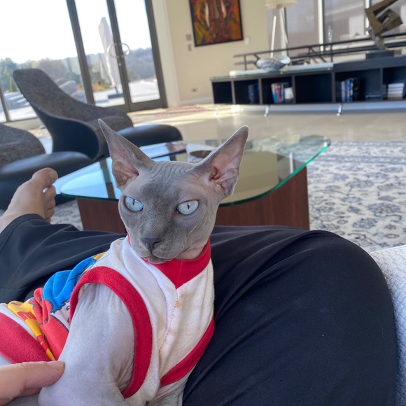 Meet your Posher, Eric - Picture 5 of 5